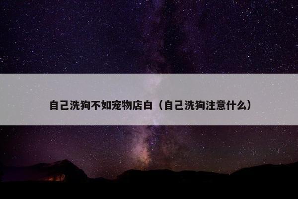 自己洗狗不如宠物店白（自己洗狗注意什么）