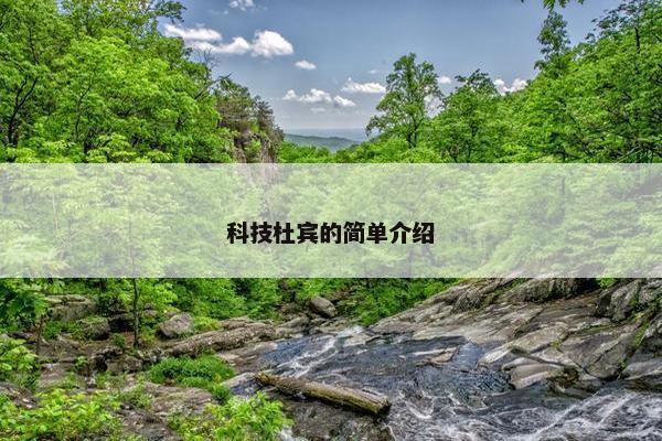 科技杜宾的简单介绍