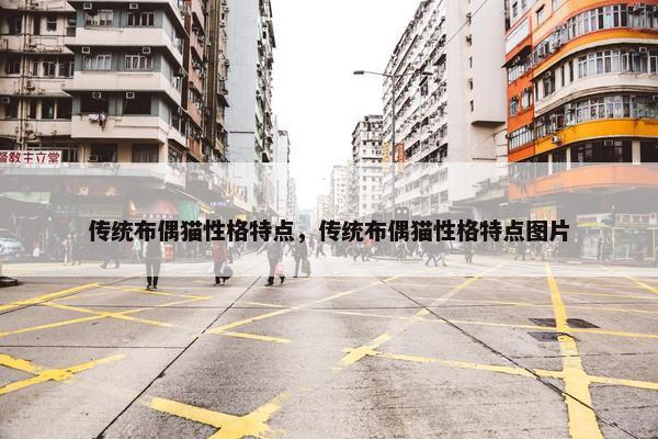 传统布偶猫性格特点，传统布偶猫性格特点图片