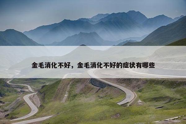不良