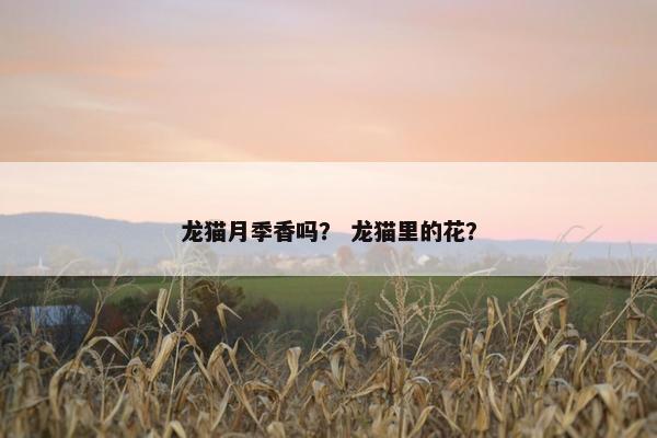 龙猫月季香吗？ 龙猫里的花？