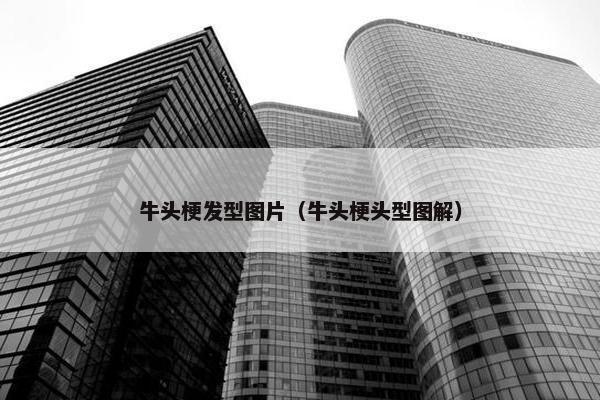 牛头梗 第13页
