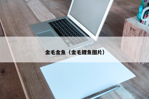 金毛金鱼（金毛鲤鱼图片）