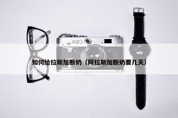 如何给拉斯加断奶（阿拉斯加断奶要几天）
