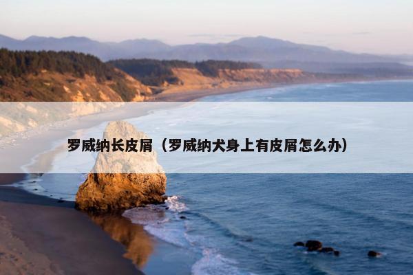罗威纳长皮屑（罗威纳犬身上有皮屑怎么办）