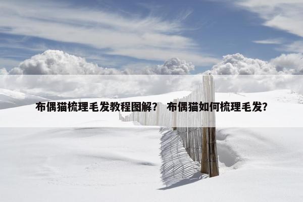 布偶猫梳理毛发教程图解？ 布偶猫如何梳理毛发？