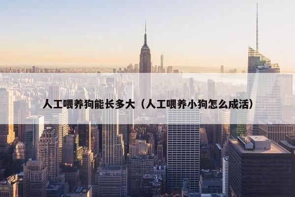 人工喂养狗能长多大（人工喂养小狗怎么成活）