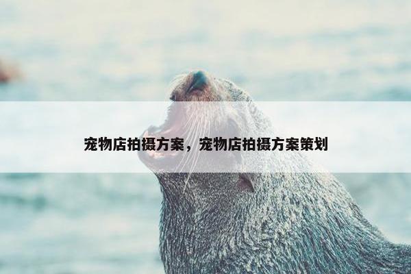 宠物店拍摄方案，宠物店拍摄方案策划