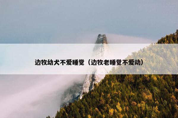 哼哼