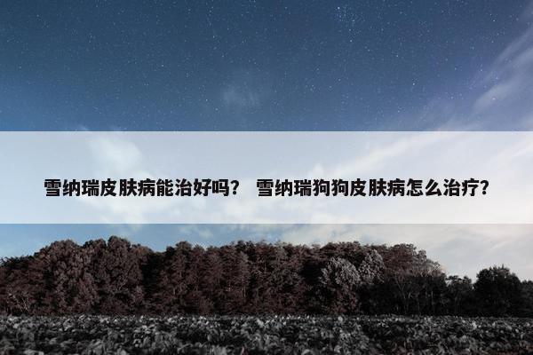 使用