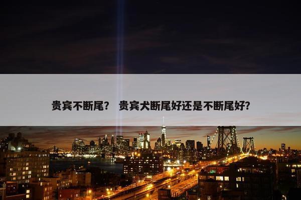 贵宾不断尾？ 贵宾犬断尾好还是不断尾好？