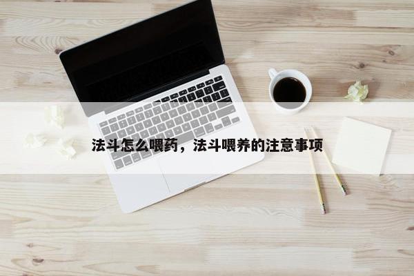 法斗怎么喂药，法斗喂养的注意事项