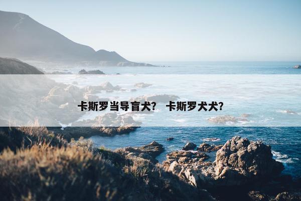 卡斯罗当导盲犬？ 卡斯罗犬犬？