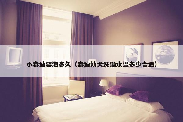 小泰迪要泡多久（泰迪幼犬洗澡水温多少合适）