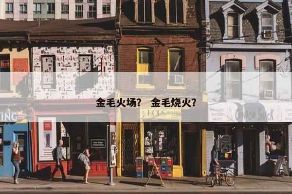金毛火场？ 金毛烧火？