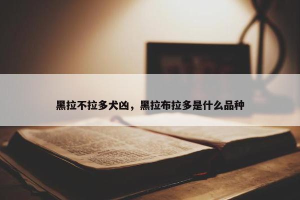 黑色 第6页