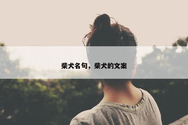 柴犬名句，柴犬的文案