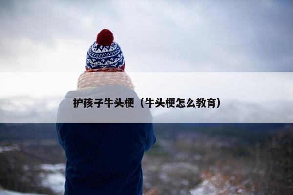 智商 第6页