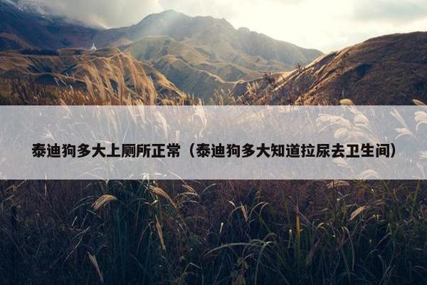 大小便 第3页