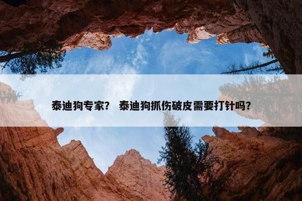 泰迪狗专家？ 泰迪狗抓伤破皮需要打针吗？