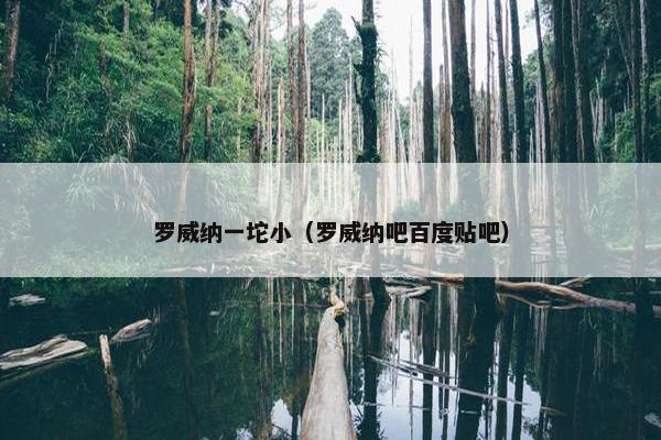 罗威纳一坨小（罗威纳吧百度贴吧）