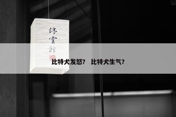 比特犬发怒？ 比特犬生气？