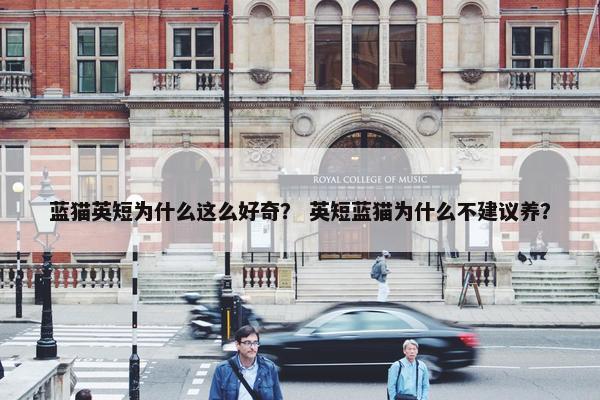 英短 第3页