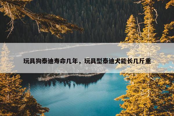 玩具狗泰迪寿命几年，玩具型泰迪犬能长几斤重