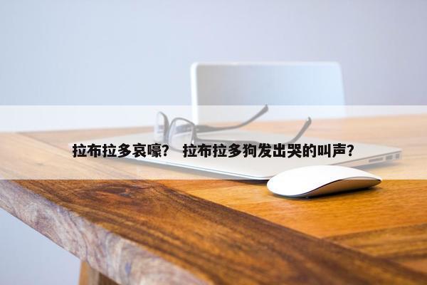 拉布拉多哀嚎？ 拉布拉多狗发出哭的叫声？