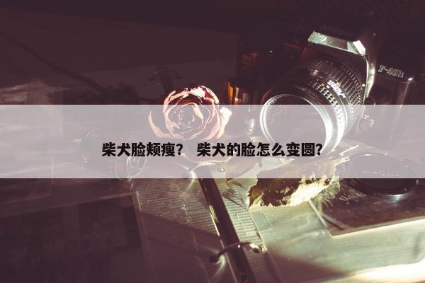 重在