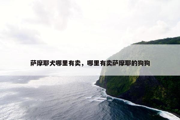 萨摩耶犬哪里有卖，哪里有卖萨摩耶的狗狗