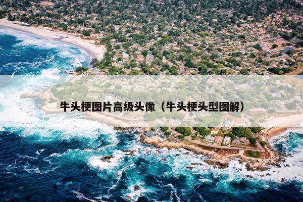 牛头梗图片高级头像（牛头梗头型图解）