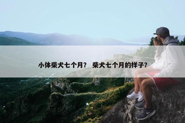 小体柴犬七个月？ 柴犬七个月的样子？