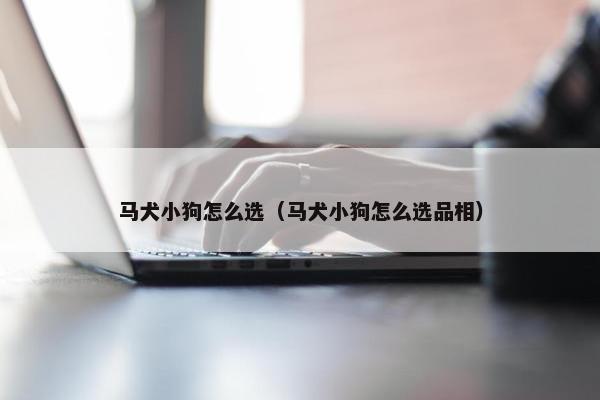 马犬小狗怎么选（马犬小狗怎么选品相）