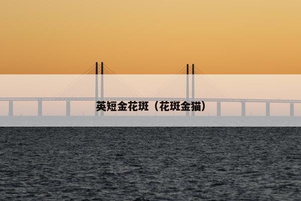 长毛 第3页