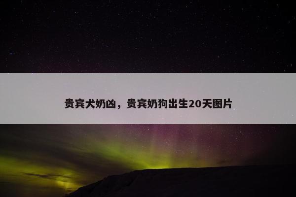 贵宾犬奶凶，贵宾奶狗出生20天图片