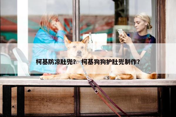 柯基防凉肚兜？ 柯基狗狗护肚兜制作？