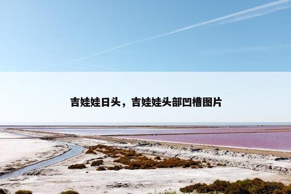 吉娃娃日头，吉娃娃头部凹槽图片
