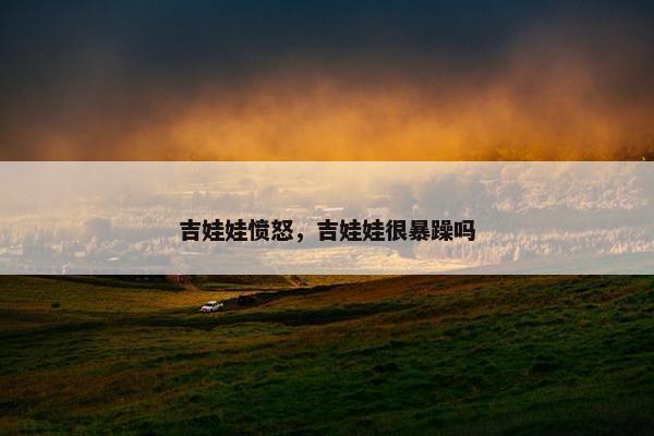 吉娃娃愤怒，吉娃娃很暴躁吗