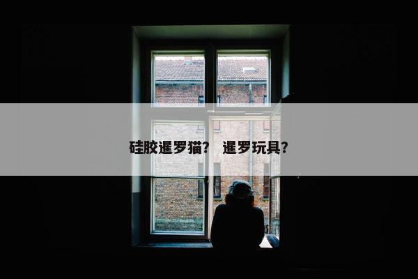 硅胶暹罗猫？ 暹罗玩具？
