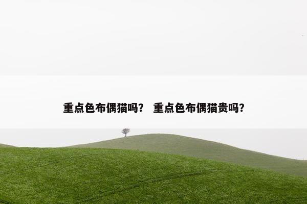 重点色布偶猫吗？ 重点色布偶猫贵吗？