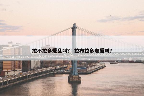 拉不拉多爱乱叫？ 拉布拉多老爱叫？