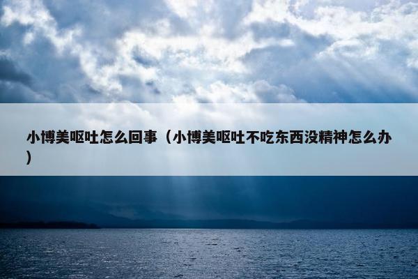 小博美呕吐怎么回事（小博美呕吐不吃东西没精神怎么办）