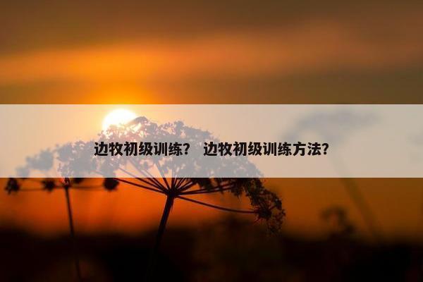 边牧初级训练？ 边牧初级训练方法？