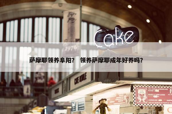 阜阳市