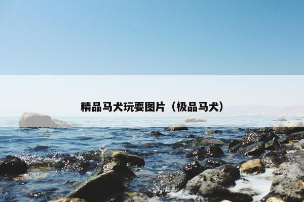 柯利