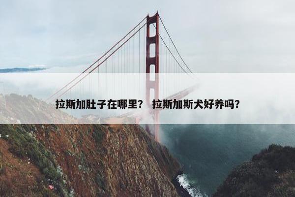 胶囊