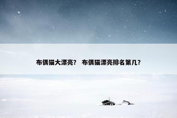 布偶猫大漂亮？ 布偶猫漂亮排名第几？
