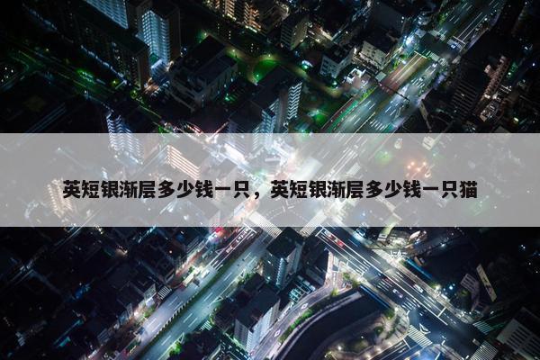 英短银渐层多少钱一只，英短银渐层多少钱一只猫