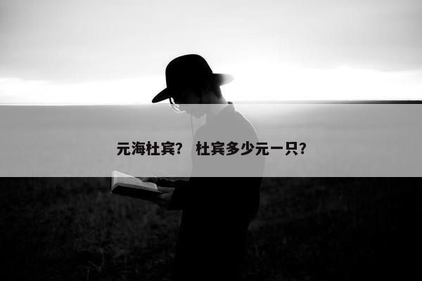 元海杜宾？ 杜宾多少元一只？